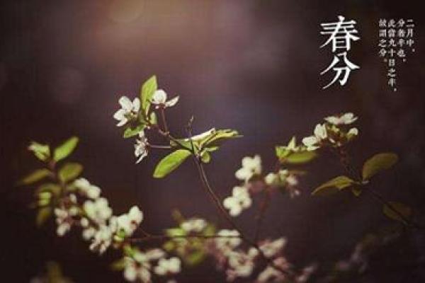 节日与命理 重阳节出生的人好吗