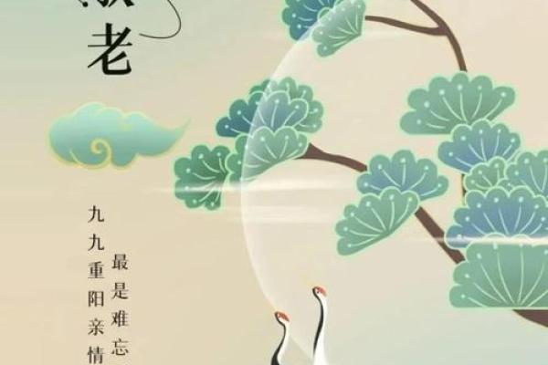 节日与命理 重阳节出生的人好吗