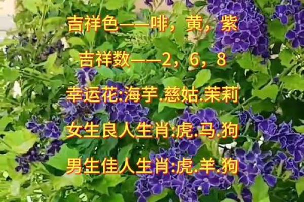 生肖马3个忌讳-1、身上不要戴观音 2、不要选择绿色的物品