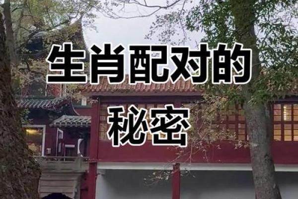 肖虎最佳配对生肖大揭秘