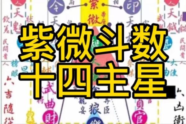 紫薇斗数亨利