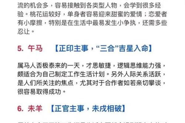 神巴巴生辰八字解析及未来运势简评