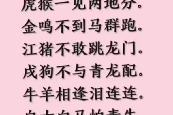 生肖兔的最佳婚配 谁跟属兔人更配对