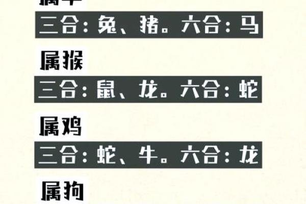 龙生肖配对大揭秘，十二生肖知识详解