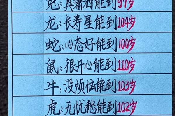 八字看适合动物 适合养宠物的八字