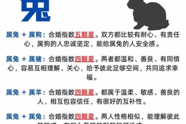 兔属相与什么属相最配 兔子跟什么生肖最配对和最好