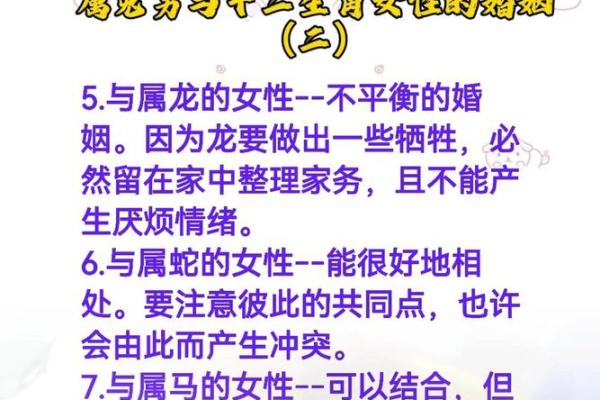 生肖属兔合婚须知，属兔配对需要注意的问题！