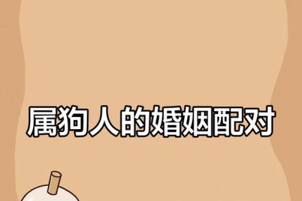 属狗和什么属相最配对 属狗和什么属相相冲