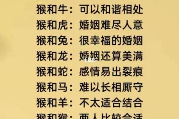 婚姻属相配对，婚姻属相配对大全很准