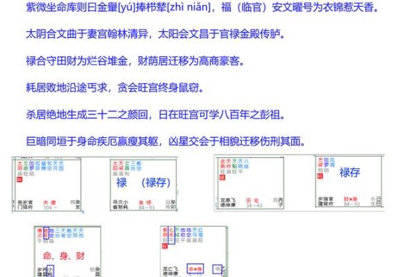 紫薇斗数全书pdf