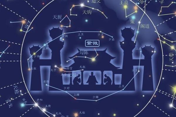 田宅宫有紫薇星七杀星