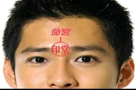 有关印堂面相算命图解