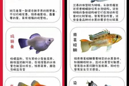 养鱼风水讲究需要注意哪些方面呢