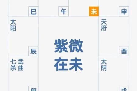 紫微斗数看上床 紫微斗数 床上？