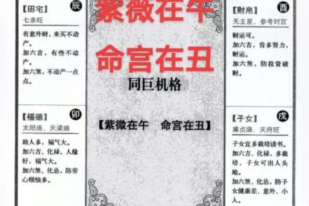 紫薇斗数命宫巨门