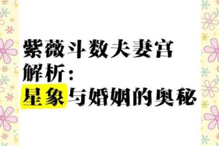 紫微斗数之夫妻宫与诸星,紫微星在夫妻宫是什么意思？