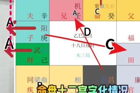 紫微斗数之四化论断法详释：河洛论断法