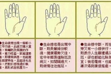 看手相算命：第五课 论健康