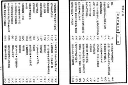紫薇斗数全书pdf