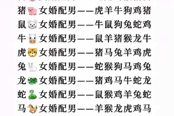 属相配对女性姻缘查询 属相婚姻配对十二生肖配对？