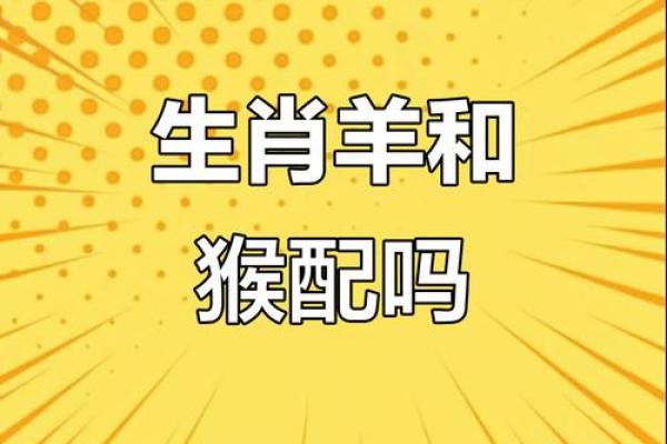 属相羊配对姻缘 属相羊婚配属相最好？