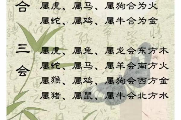 周易中属什么生肖？解析周易生肖配对