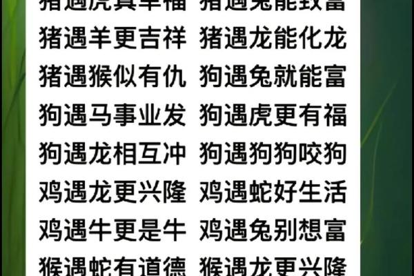 周易中属什么生肖？解析周易生肖配对