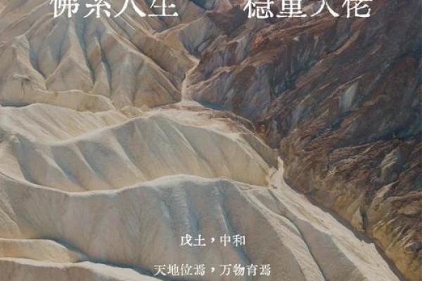 八字戊土