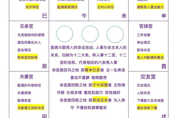 夫妻宫看紫薇斗数