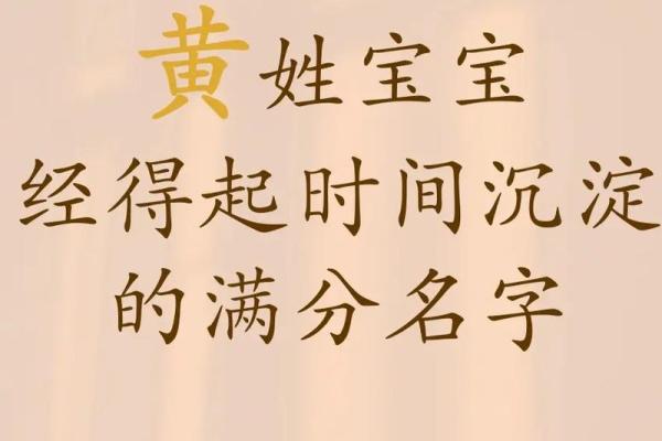 根据宝宝生辰八字起名，起名步骤，适合猪年男孩女孩的名字推荐