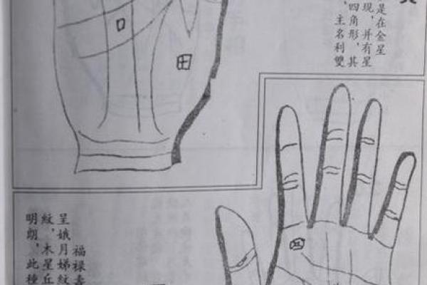 八字算命术和手相面相哪个更准确