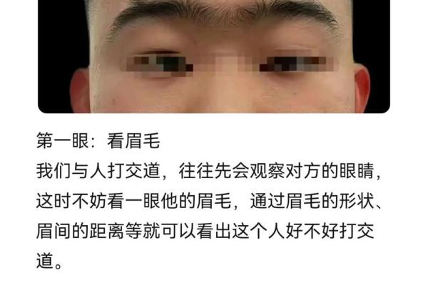 八字算命术和手相面相哪个更准确