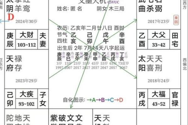 紫薇斗数变景