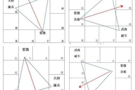紫微斗数之事业宫与诸星，武曲星在事业宫是什么意思？