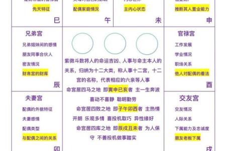 夫妻宫看紫薇斗数