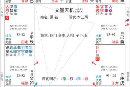 适合当艺术家的紫薇斗数