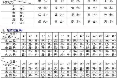 紫薇斗数看行运