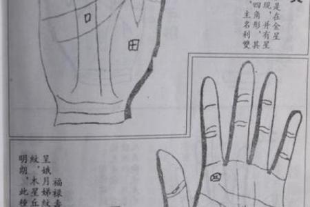八字算命术和手相面相哪个更准确