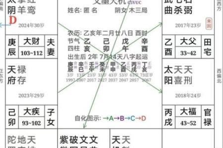 紫薇斗数变景