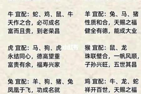 婚姻算命配对