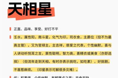 紫薇斗数星大全