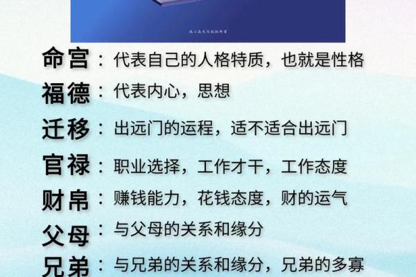 紫薇斗数主星相同