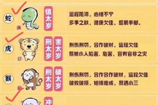 宝宝命运算命