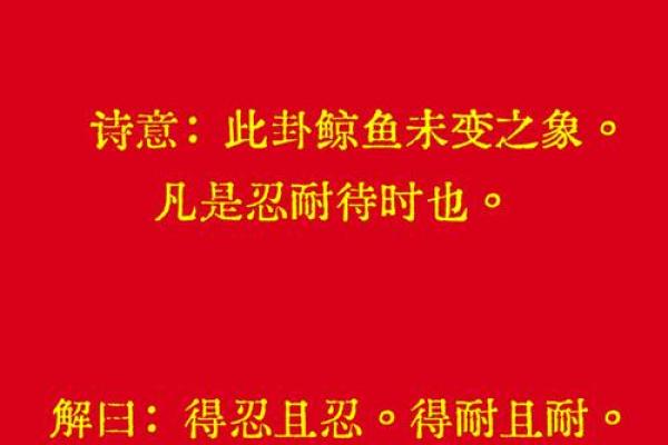 花开二度灵签