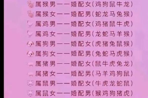 生肖属兔和属狗的合不合 相合配对指数