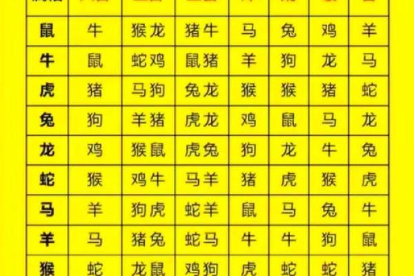 生肖属兔和属狗的合不合 相合配对指数