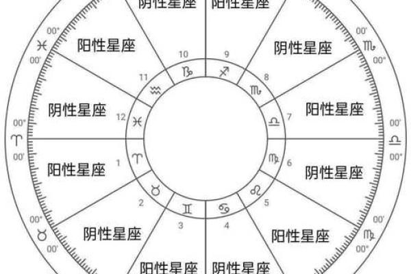 星盘查询 星盘怎么看