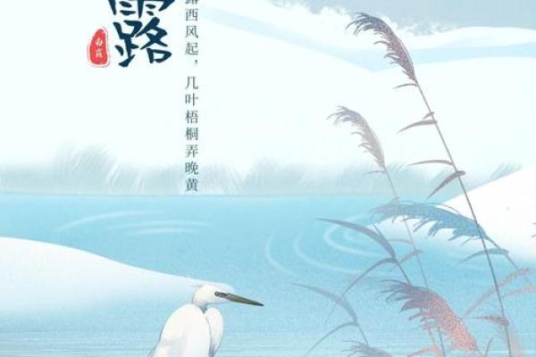 白露节气的含义是什么 白露时节有什么民俗活动