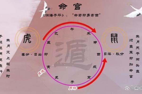 八字排盘后分析教程