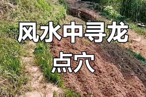 怎样看坟墓风水宝地